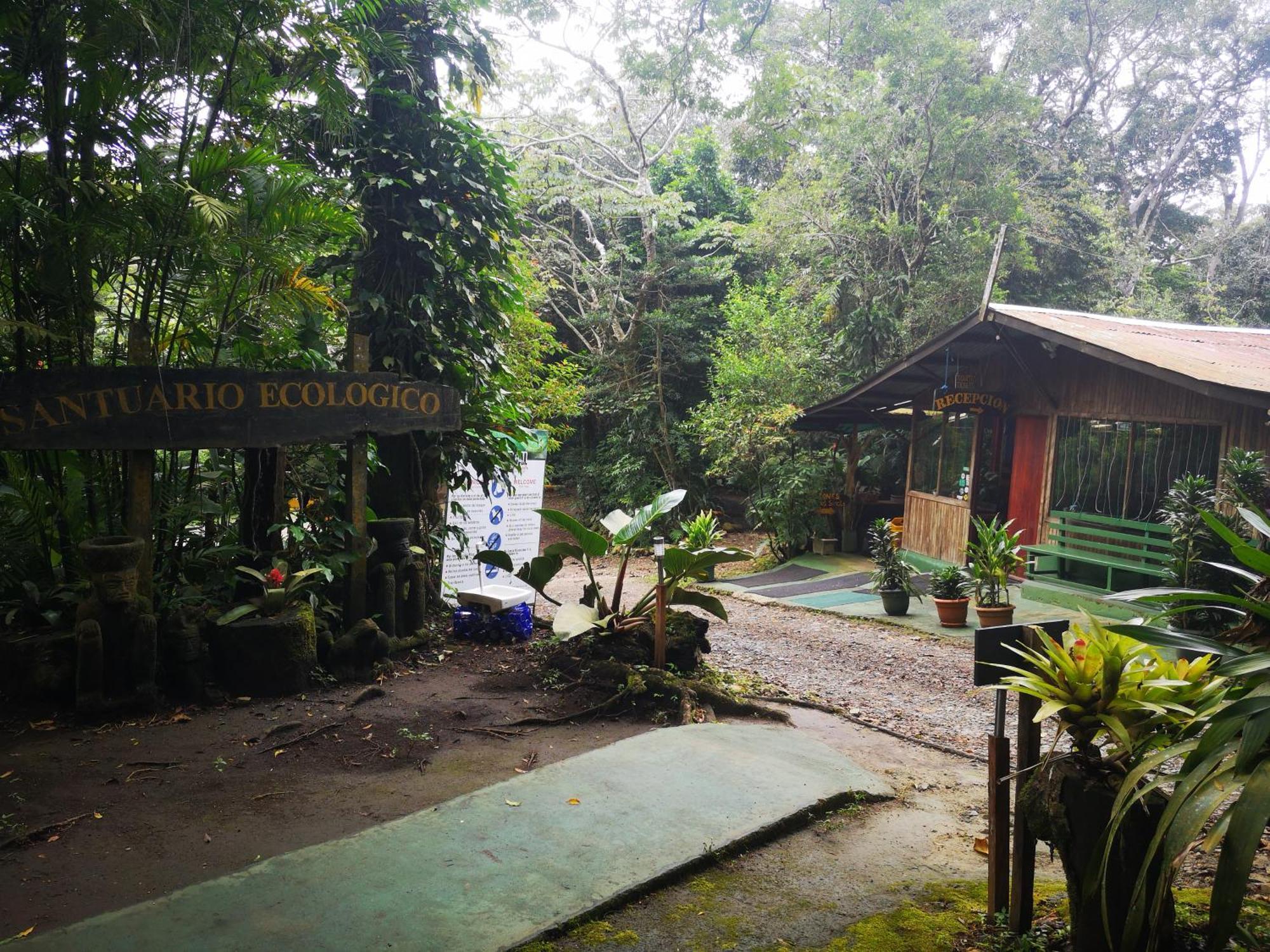 Santuario Ecologico Монте-Верде Экстерьер фото